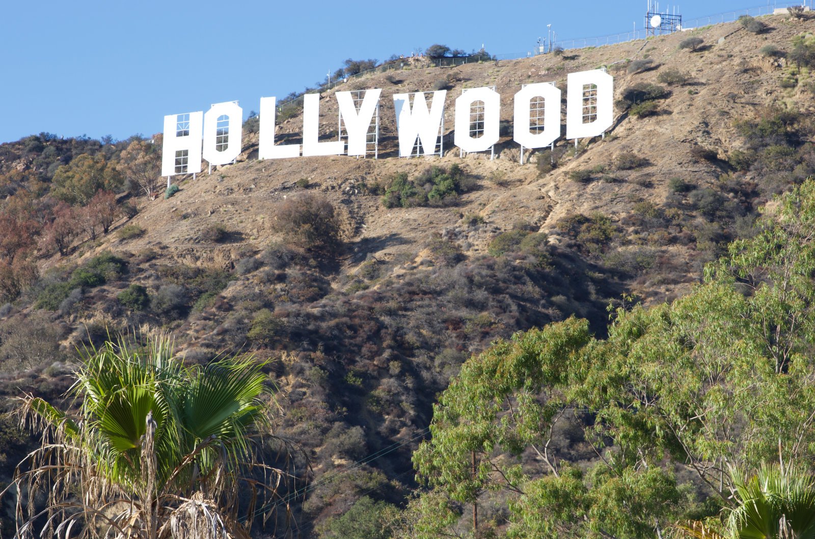 Hollywood Sign034